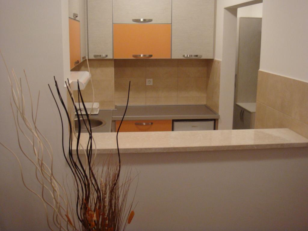 Adriatic Lux Apartment Budva Oda fotoğraf